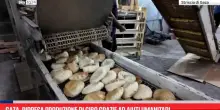 Gaza, ripresa produzione di cibo grazie ad aiuti umanitari