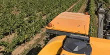 San Colombano, 33enne muore in un incidente con il trattore in vigna