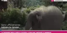 Il Signore degli Anelli: Caccia a Gollum, al via le riprese