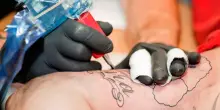 Tatuaggi, l’effetto sul sistema immunitario secondo un nuovo studio