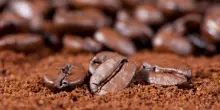 Caff&egrave;, il tramonto delle capsule: italiani tornano ai chicchi, perch&eacute;
