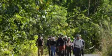 Money Road, due nuovi ingressi minacciano la stabilit&agrave; del gruppo