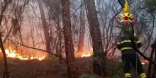 Caltanissetta, vigile del fuoco muore per un malore su un incendio