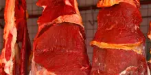 Cina, dazi supplementari al 55% sulla carne bovina: i motivi