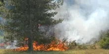 Abruzzo, vento e caldo spingono gli incendi: arriva l'esercito