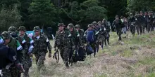 Colombia, guerriglieri consegnano armi: raggiunto l'accordo con Petro
