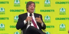 Manovra, Messina: non devono pagare solo le banche
