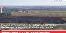 Incendi in Francia e UK, la devastazione ripresa dai droni