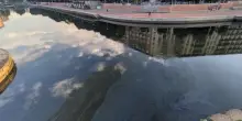 Nuovo sversamento nel Naviglio milanese: '&Egrave; un'azione dolosa'