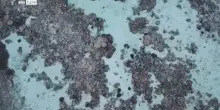 Maldive, trovati nella grotta i corpi dei 4 sub mancanti