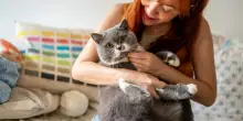Giornata del gatto, uno su 4 non va in vacanza per non lasciarlo solo