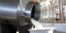 Milano, pap&agrave; di Mattia Maestri: 'Rivedete mozione su latte crudo'