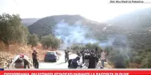 Cisgiordania,palestinesi attaccati durante raccolta di olive