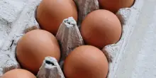 Uova, come capire se sono ancora buone: tre metodi infallibili