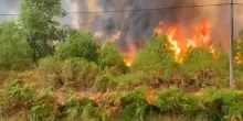 Incendi, l'Ue manda aerei antincendio in Spagna e Francia