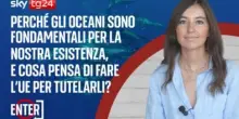Cosa pensa di fare l'Ue per tutelare gli oceani?