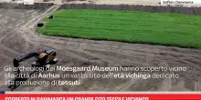 Scoperto in Danimarca un grande sito tessile vichingo
