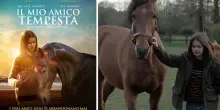 Il mio amico Tempesta, trama e cast del film stasera in tv
