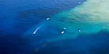 L'Oceano Pacifico starebbe cambiando colore a causa di Super El Ni&ntilde;o