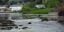 Siccit&agrave; in Piemonte, deroga regionale al deflusso ecologico
