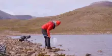 Il Lepidurus Arcticus per capire il cambiamento climatico