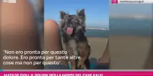 Matilde Gioli, il dolore per la morte del cane Kalel
