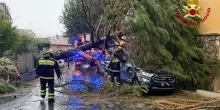 Maltempo nel Fiorentino, alberi caduti e allagamenti a Empoli