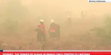Borneo, The Power of Mama in prima linea contro gli incendi