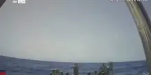 Flotilla, esercito israeliano nega gli abusi sugli attivisti