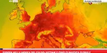 Caldo record in Europa, vittime e crisi climatica globale
