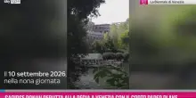 Saoirse Ronan debutta alla regia a Venezia con Paper Plane