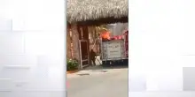 Incendio in resort a Santo Domingo, morta un'italiana