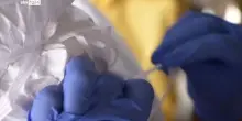 Ebola in Africa, contagi potrebbe essere molti di pi&ugrave;