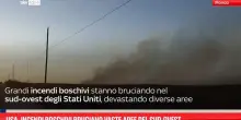 Usa, incendi boschivi bruciano vaste aree del sud-ovest