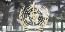 Focolaio Hantavirus, OMS: 'Allerta alta, ma rischio contenuto'