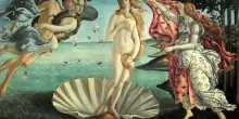 Botticelli, come mor&igrave; la Venere: l'ipotesi dello stupro e del tumore