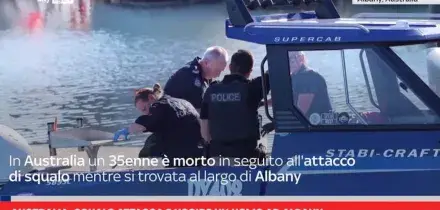 Australia, squalo attacca e uccide un uomo ad Albany