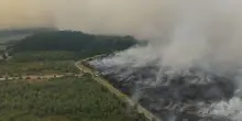 Incendio in Belgio: 3000 ettari devastati, il fuoco verso la Germania