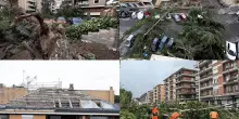 Meteo, tornado a Roma Nord: alberi abbattuti e traffico in tilt. FOTO
