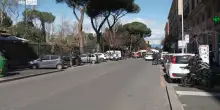 Crolla albero a Roma, due feriti e cinque auto danneggiate
