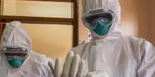 Ebola, Oms emergenza sanitaria internazionale per un raro ceppo