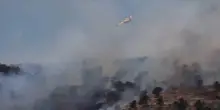 Incendi in Sicilia, oltre 800 interventi in 4 giorni