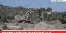 Cisgiordania, l'esercito israeliano sradica decine di ulivi