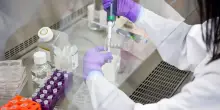Tumori, chi ha il diabete rischia di pi&ugrave;: serve pi&ugrave; prevenzione