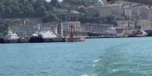 Delfini al porto di Ancona, salti in acqua e giochi di scie