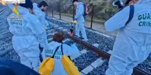 Incidente Spagna, inchiesta: rotaia rotta prima arrivo treno