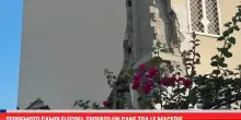 Terremoto Campi Flegrei, trovato un cane tra le macerie