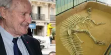 Morto Philippe Taquet, paleontologo francese cacciatore di dinosauri