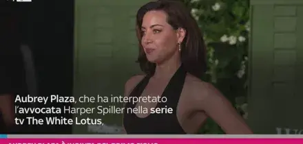 Aubrey Plaza &Atilde;&uml; incinta del primo figlio