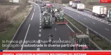 Francia, agricoltori in protesta per epidemia del bestiame